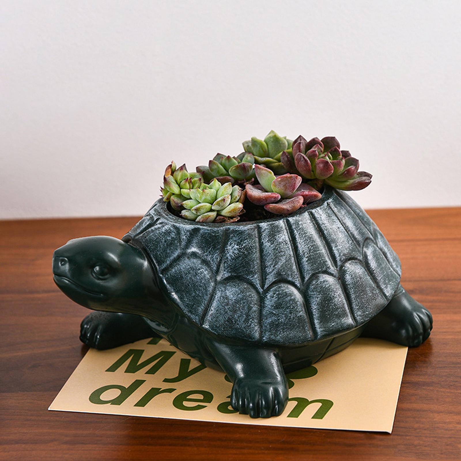 カメ型プランター植木鉢、コレクターズアイテム、装飾デスクオー - Bonsai Garden And Cafe のレビューと価格