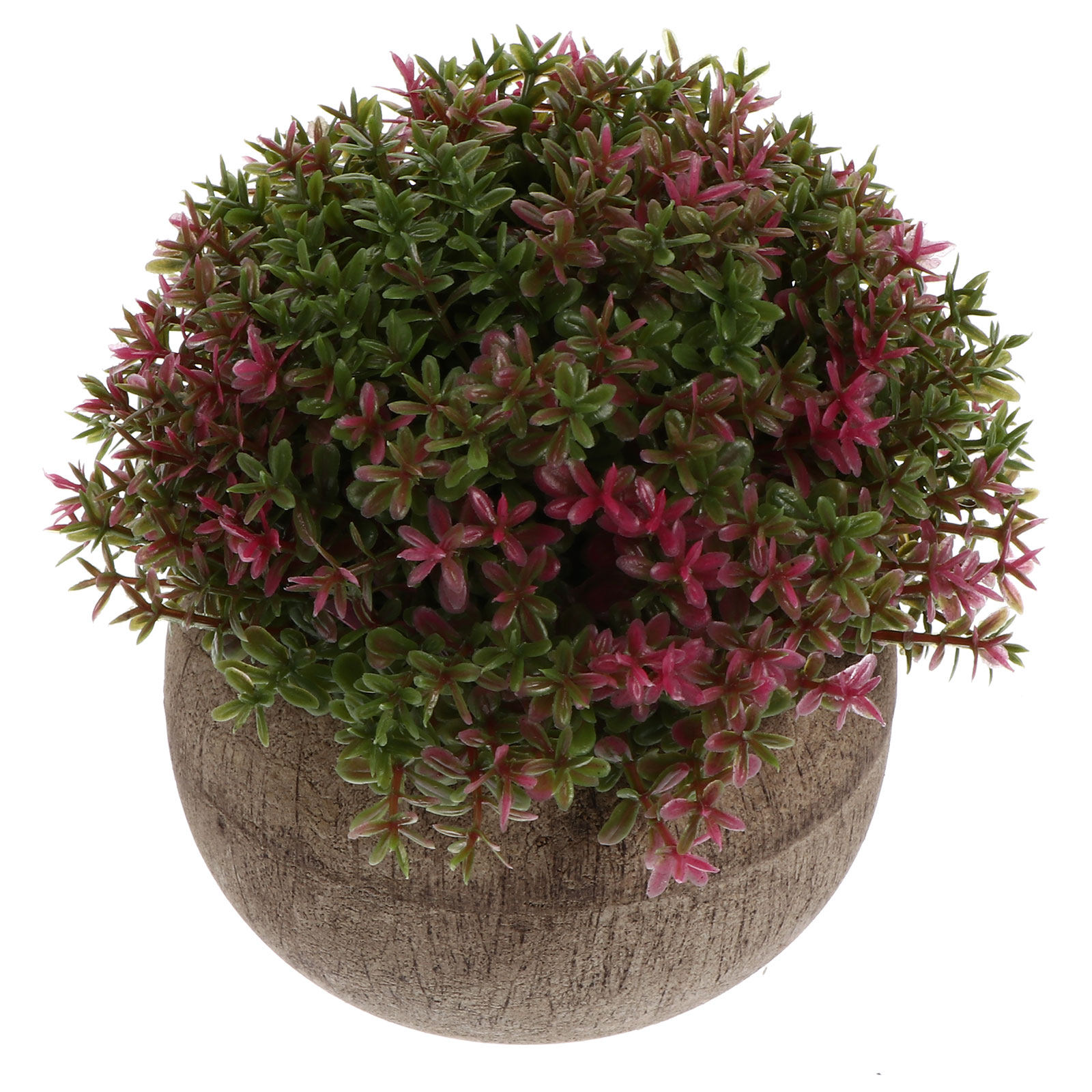 ミニプラスチック盆栽シミュレーション植物人工鉢植えグリーンデ - Bonsai Garden And Cafe のレビューと価格